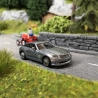 Chrysler Crossfire-HO 1/87-RICKO 38465