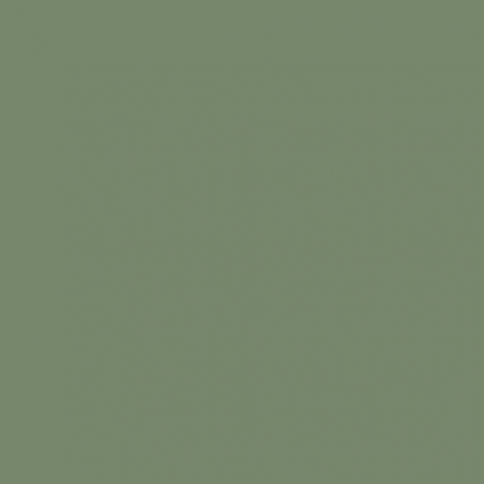 Peinture Vert "IDF" 17 ml - PRINCE AUGUST P126