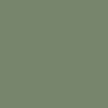 Peinture Vert "IDF" 17 ml - PRINCE AUGUST P126