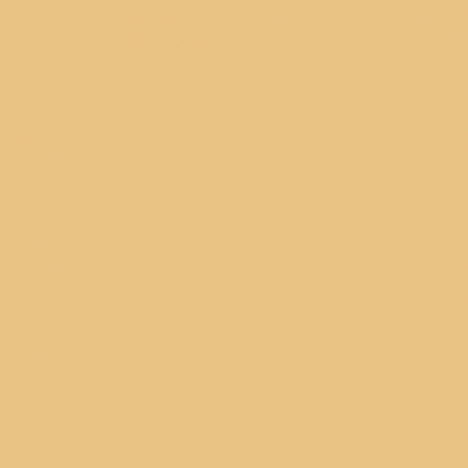 Peinture Beige Radome 17 ml - PRINCE AUGUST P074