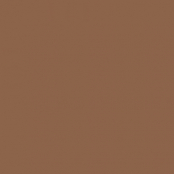 Peinture Marron Terre – URSS WWII 17 ml - PRINCE AUGUST P037