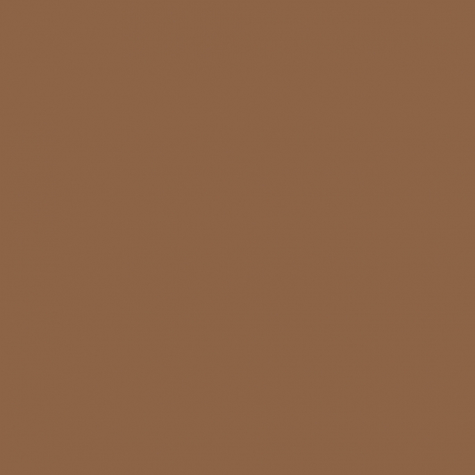 Peinture Marron – Tan US Vietnam 17 ml - PRINCE AUGUST P026