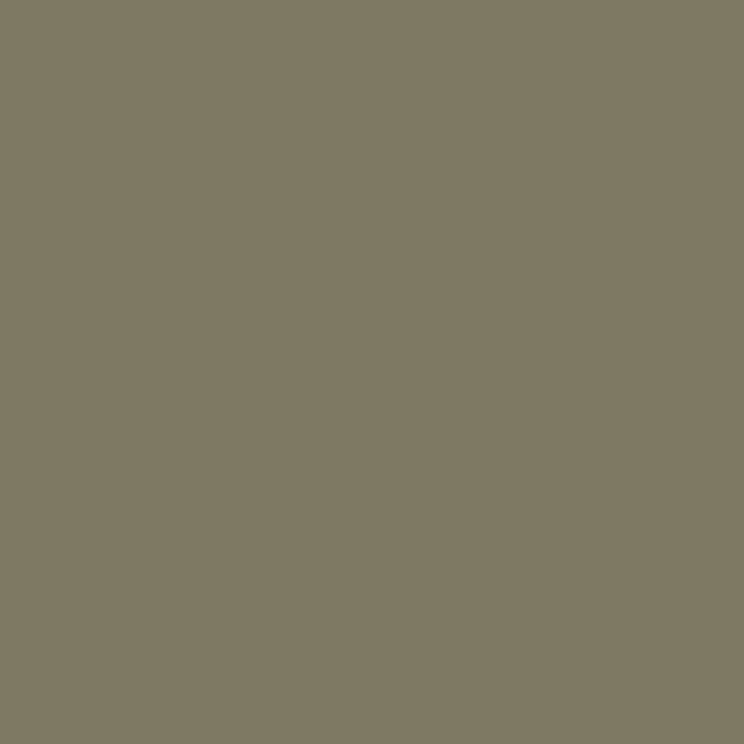 Peinture Beige Camouflage 17 ml - PRINCE AUGUST P023