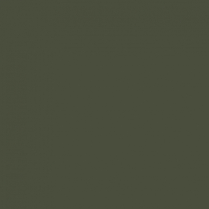 Peinture Vert Camouflage 17 ml - PRINCE AUGUST P022