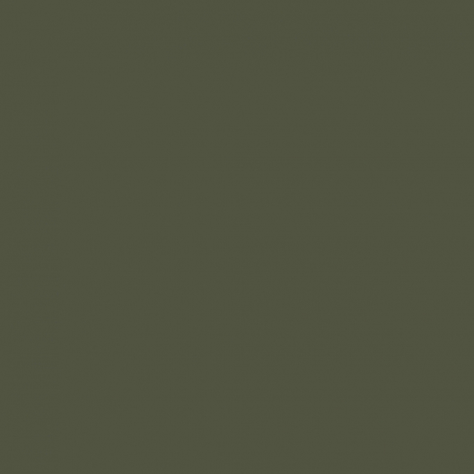 Peinture Olivegrün URSS WWII 17 ml - PRINCE AUGUST P017