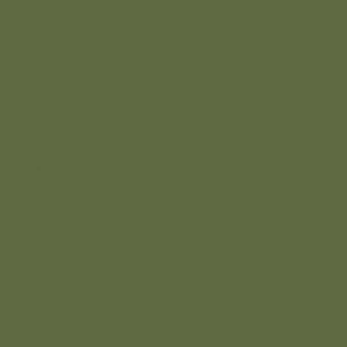 Peinture Vert Clair Camouflage 17 ml - PRINCE AUGUST P006