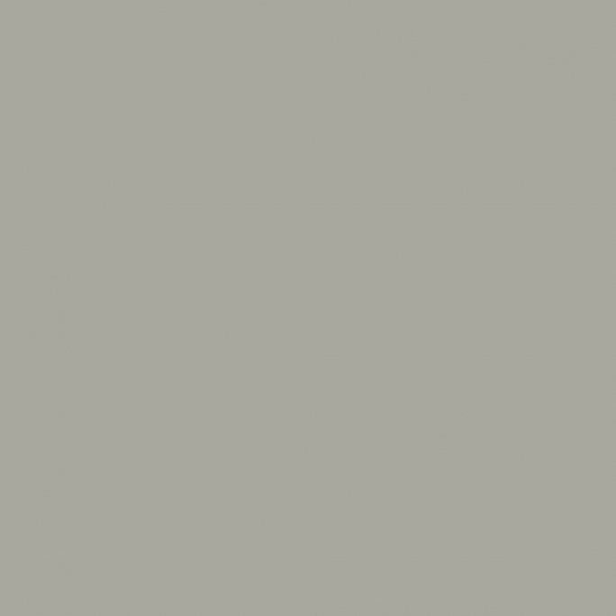 Peinture Gris clair USAF 17 ml - PRINCE AUGUST P121