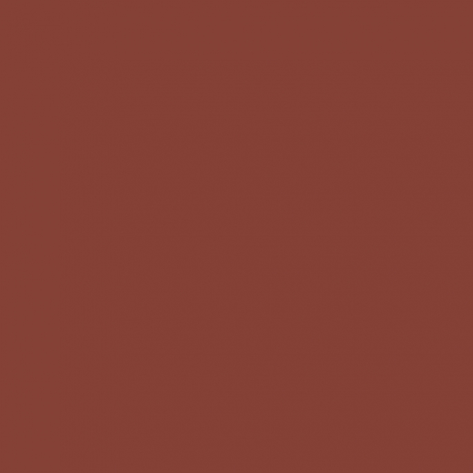 Peinture Marron 17 ml - PRINCE AUGUST P105