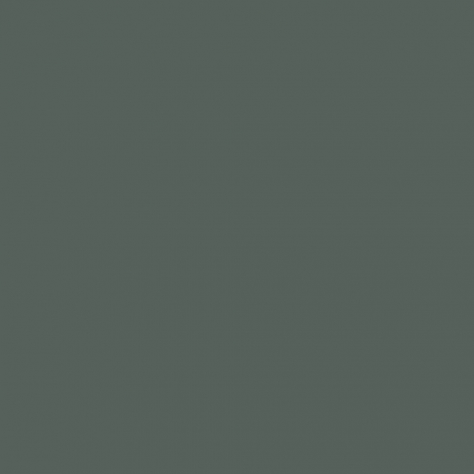 Peinture Vert Olive Panzer 17 ml - PRINCE AUGUST P096