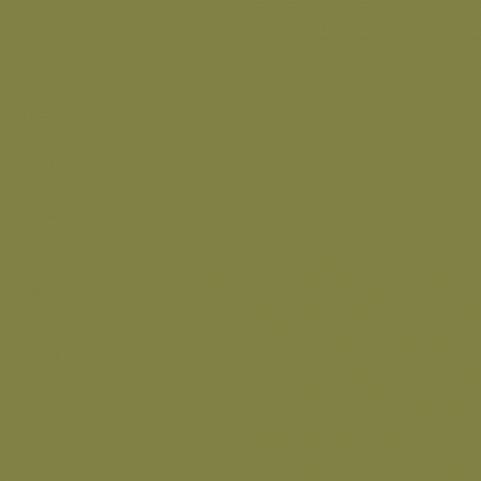 Peinture Acrylique, 17ml, Vert Olive Doré - PRINCE AUGUST P857