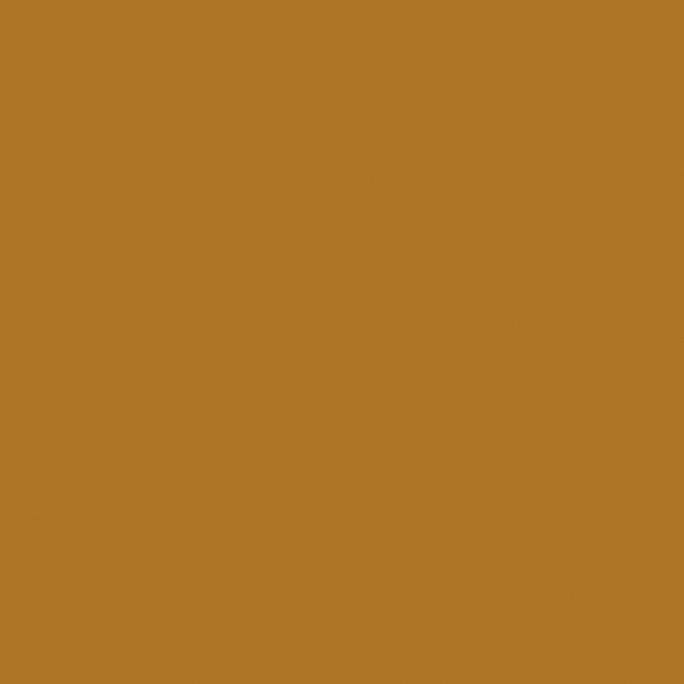 Peinture Acrylique, 17ml, Ocre Marron - PRINCE AUGUST P856