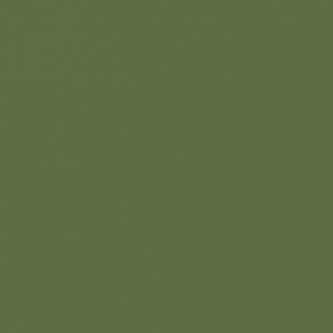 Peinture Acrylique, 17ml, Vert Olive - PRINCE AUGUST P967