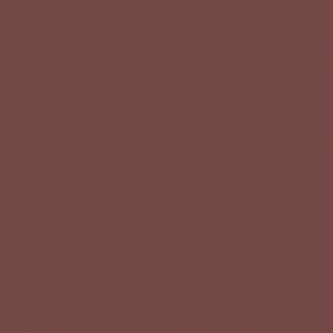 Peinture Acrylique, 17ml, Marron Mat - PRINCE AUGUST P984