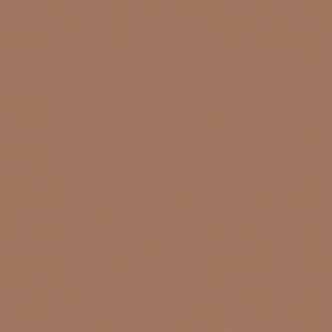 Peinture Acrylique, 17ml, Marron sable - PRINCE AUGUST P876