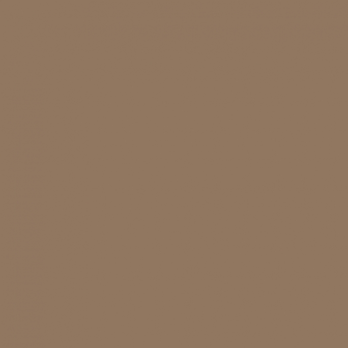 Peinture Acrylique, 17ml, Marron Beige - PRINCE AUGUST P875