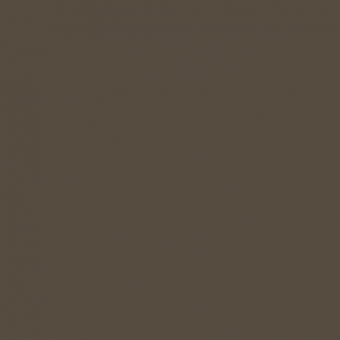 Peinture Acrylique, 17ml, Marron chocolat - PRINCE AUGUST P872