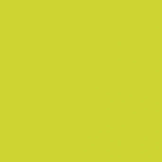 Peinture Acrylique, 17ml, Jaune Vert - PRINCE AUGUST P954