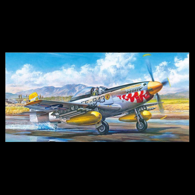 Avion F-51D Mustang guerre de Corée - 1/32 - TAMIYA 60328