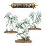 Warhammer Age of Sigmar : Spirit Hosts - WARHAMMER 93-08