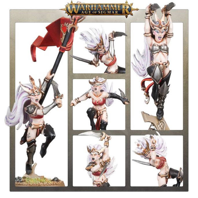 Warhammer Age of Sigmar : Witch Aelves - WARHAMMER 85-10